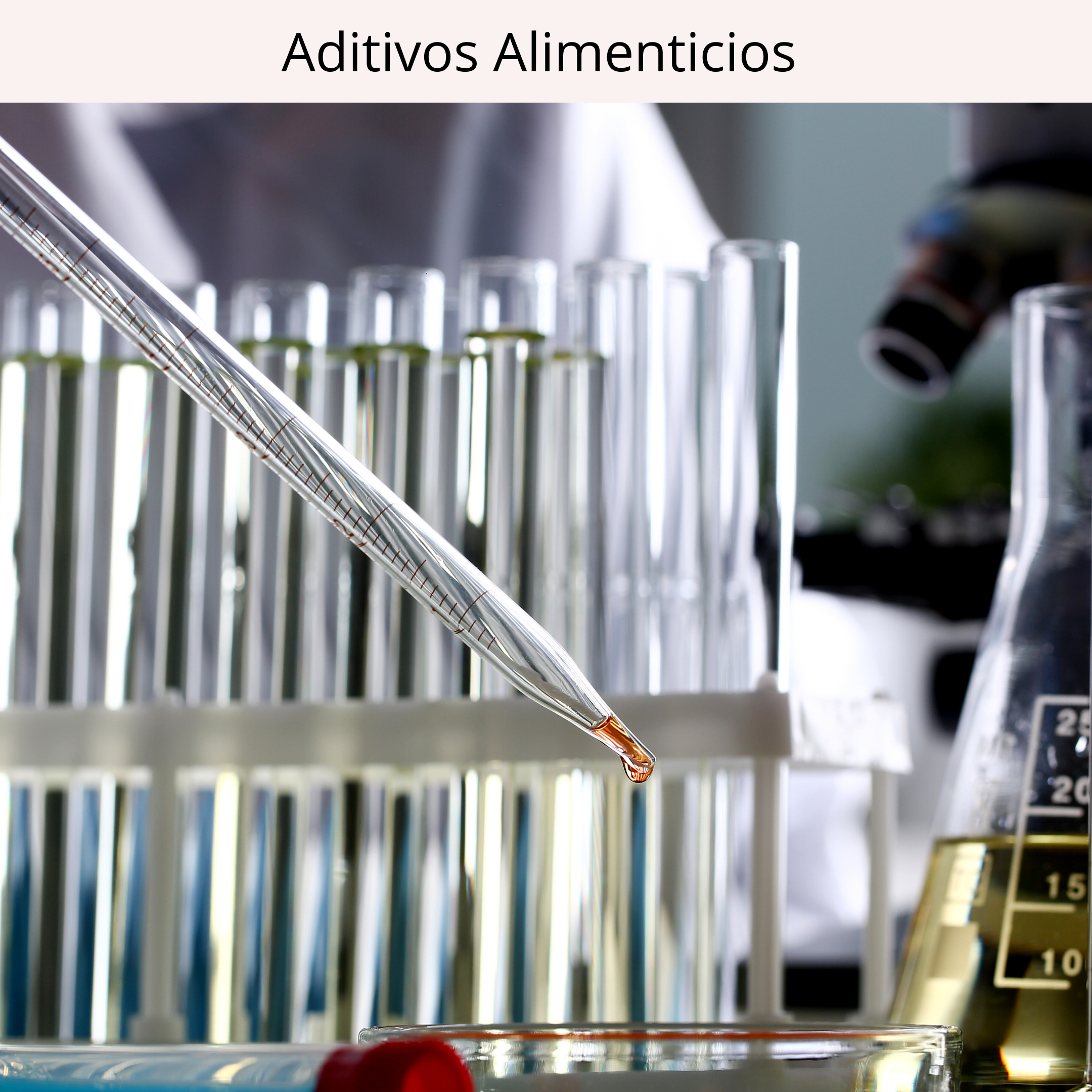 Aditivos Alimenticios 